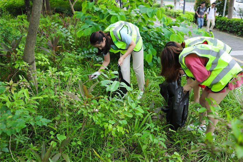 油煙凈化器，油煙凈化設(shè)備，油煙凈化機(jī)