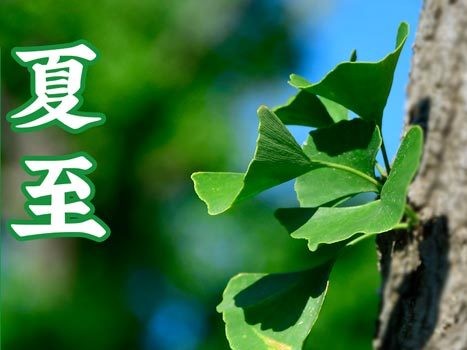 油煙凈化器，油煙凈化設(shè)備，油煙凈化機