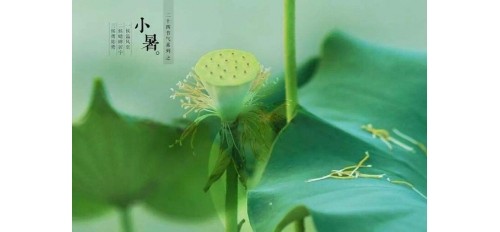 廣杰GOJEK：小暑| 炎炎夏日廣杰環(huán)保煙罩一體機(jī)助餐飲廚房擁有新鮮空氣！